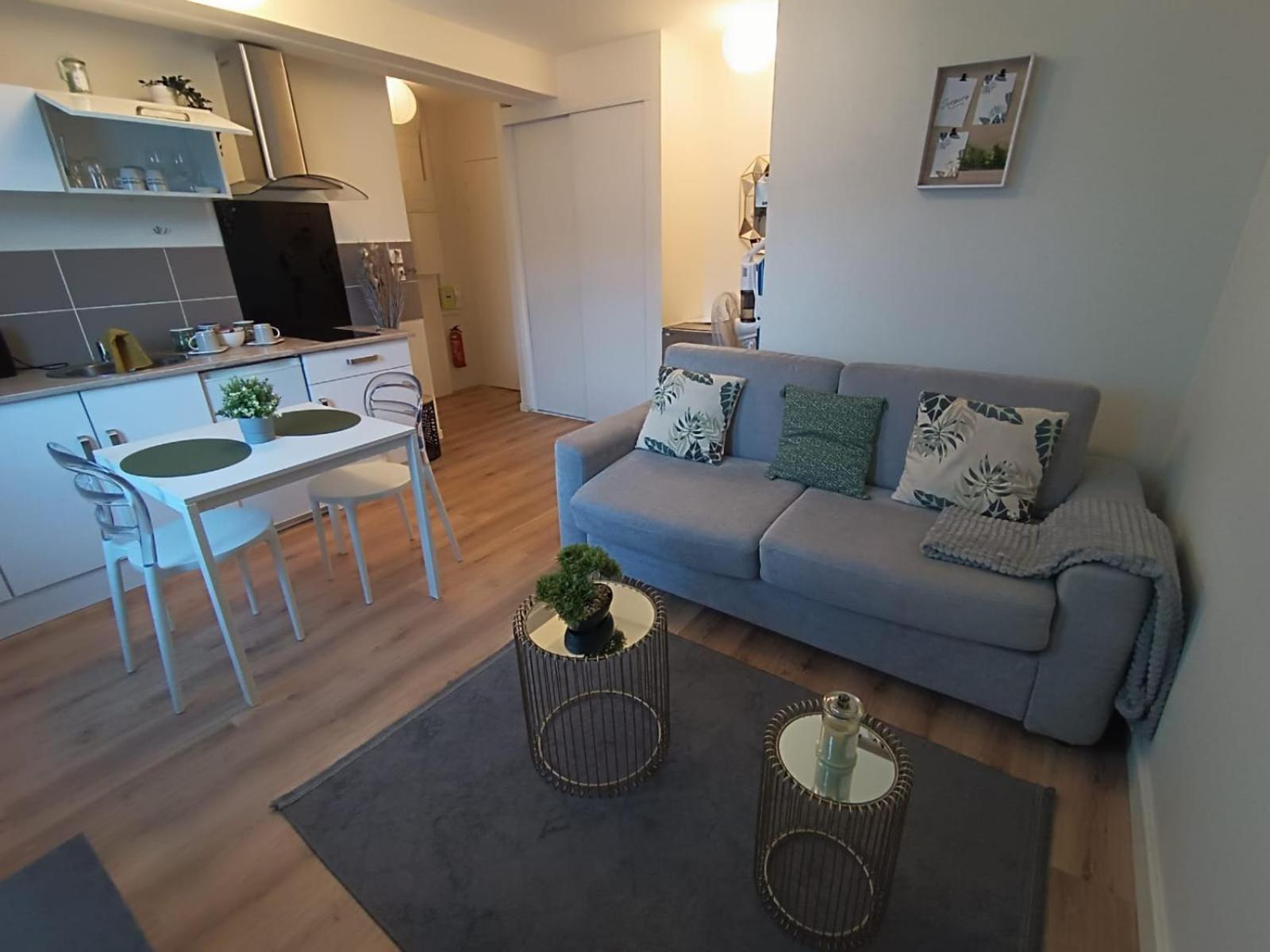 Le Rabanesse Studio Clermont-Ferrand Buitenkant foto