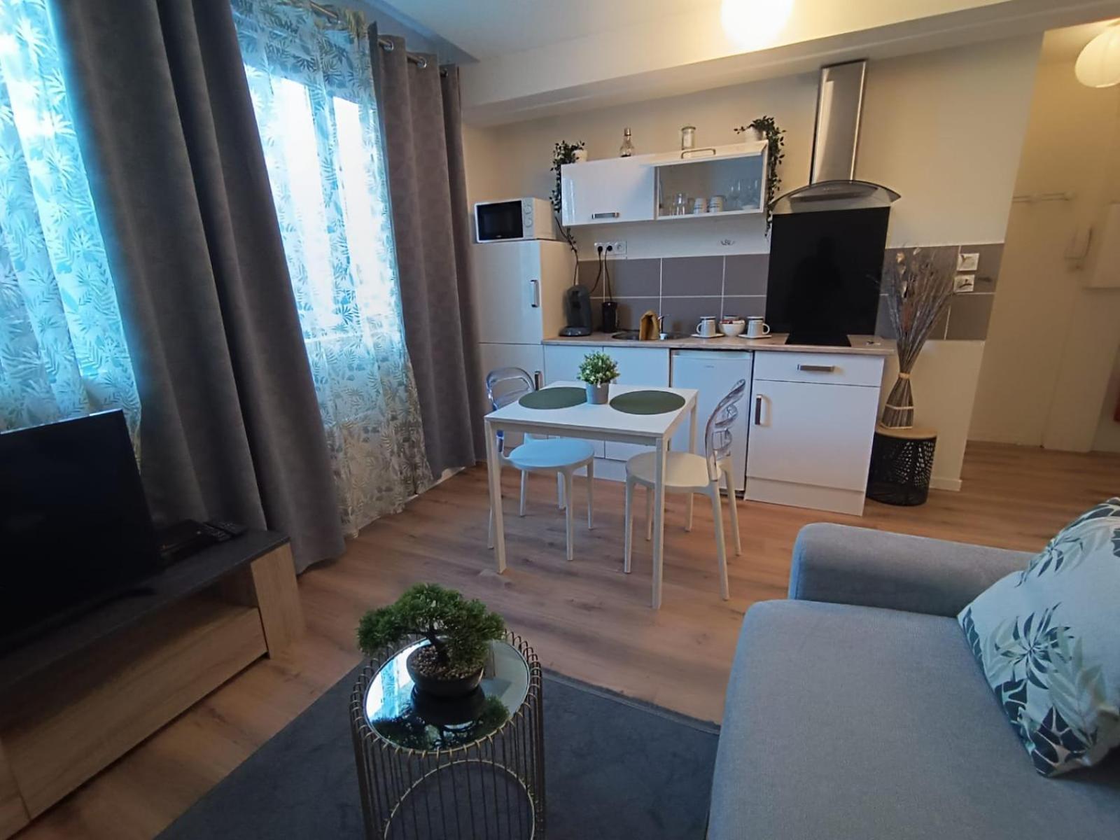 Le Rabanesse Studio Clermont-Ferrand Buitenkant foto